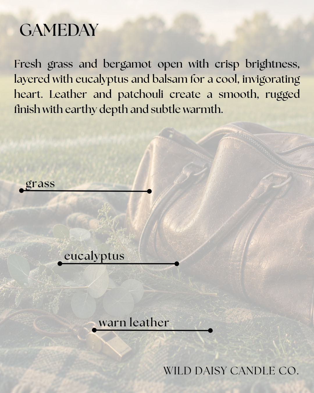 GAMEDAY - scent description