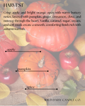 HARVEST - scent description