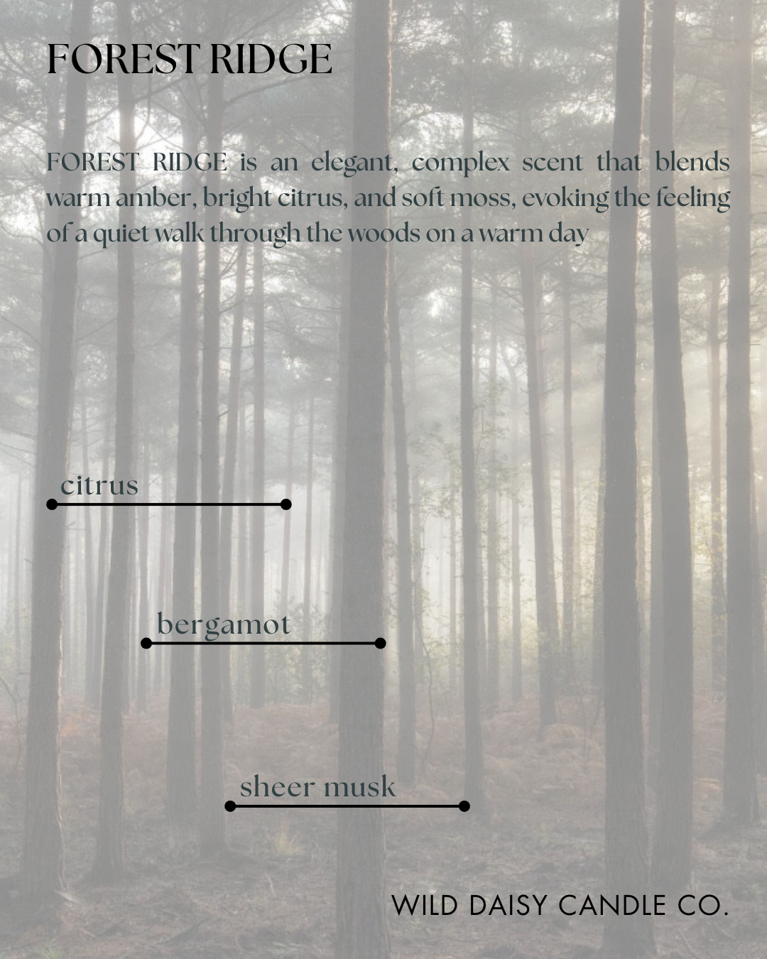 FOREST RIDGE - scent description