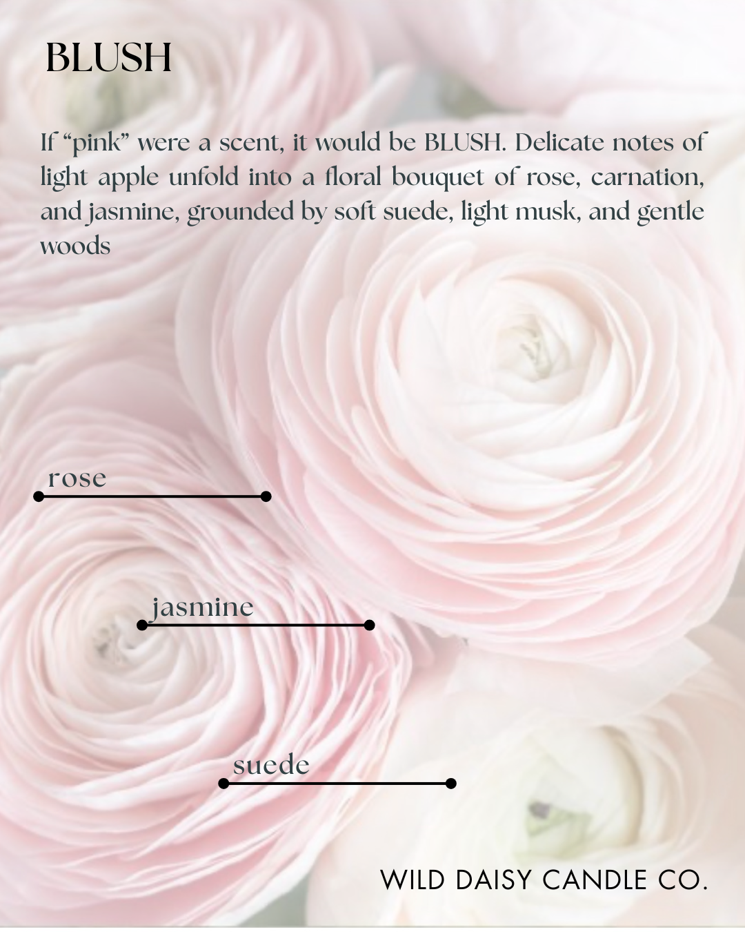 BLUSH - scent description