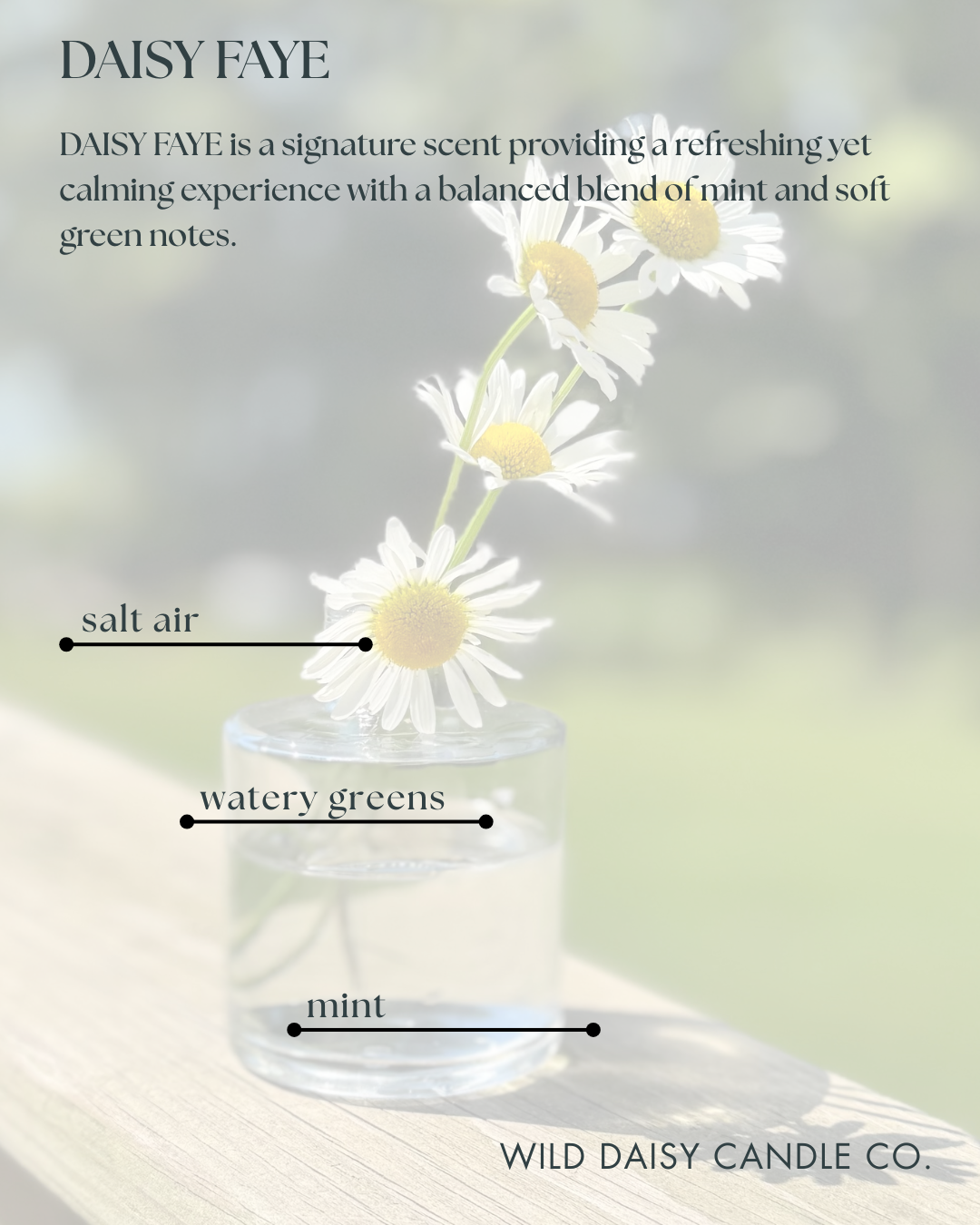 DAISY FAYE - scent description