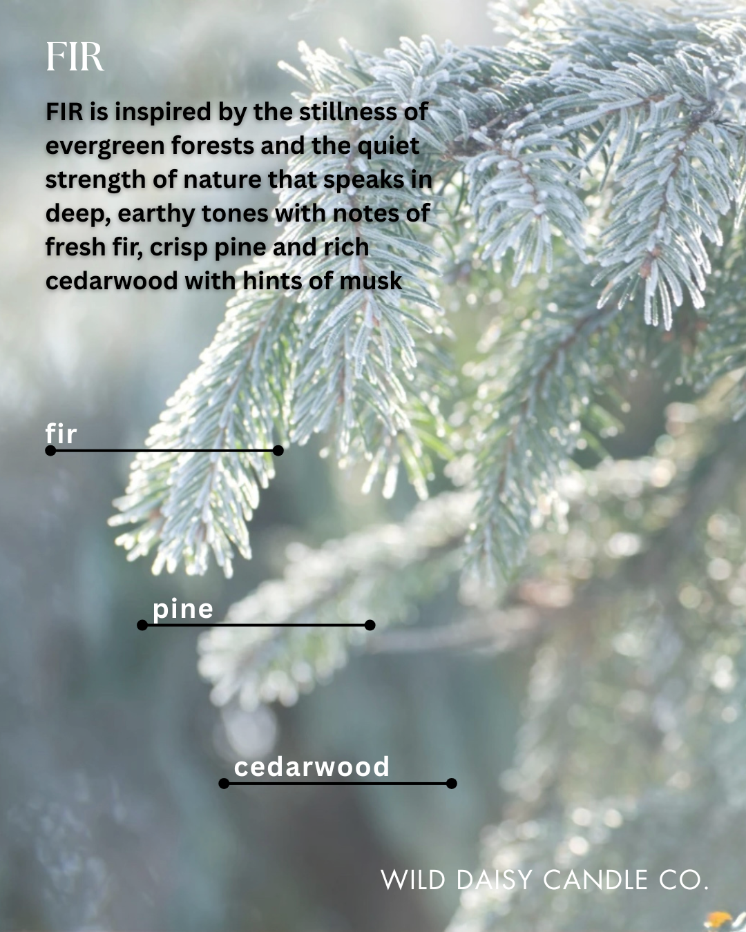 FIR - scent description
