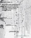 WHITE BIRCH - scent description