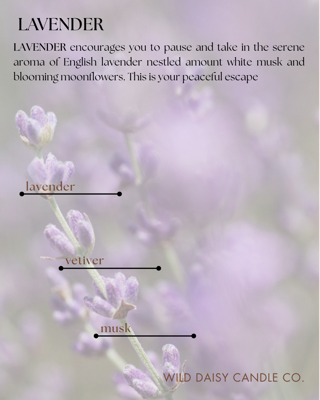 LAVENDER - scent description