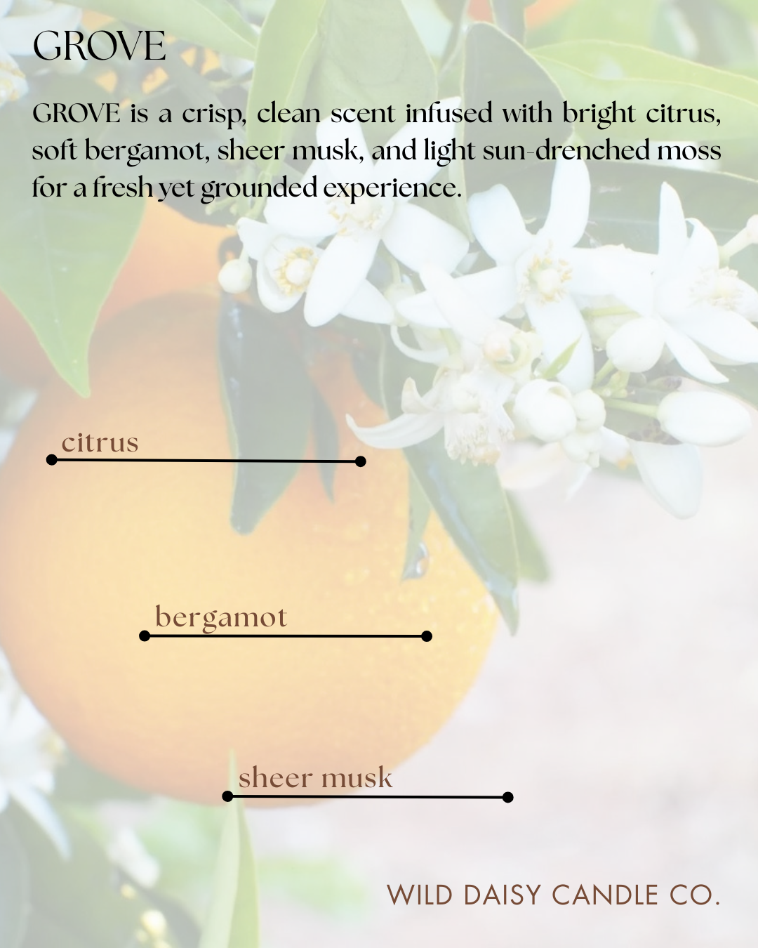 GROVE - scent description