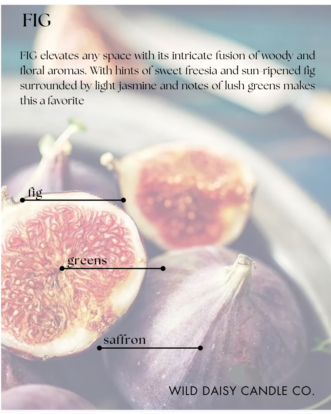 FIG - scent description