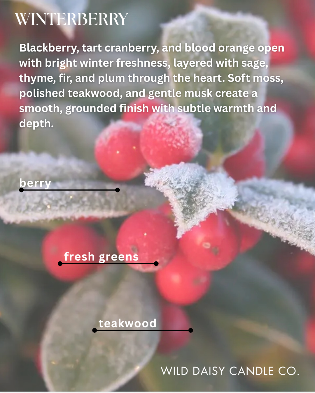 WINTERBERRY - scent description